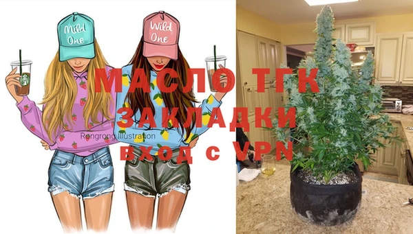 крисы Абдулино