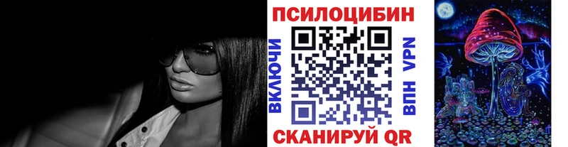 где купить наркоту  Приволжский  Псилоцибиновые грибы Psilocybe 